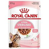 Royal Canin Adult Chihuahua Yetişkin K&ouml;pek Pouch Konserve 12 X 85 Gr