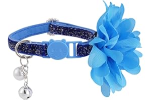 DAIHAQIKO Breakaway Halsband Katzenhalsband mit Glocke Bling Katzenhalsbänder mit Blume niedliche Katzenhalsbänder für Kätzchen Mädchen Junge Katzen Welpen