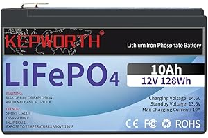 FLLYROWER Lifepo4 Akku 12 V 10 Ah mit BMS für Lampe, Roller, Finder, Rasenmäher, Fios, Motorräder, Solaranlage, Wechselrichter, Schleppangeln und mehr.