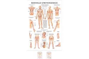‎SPORTTEC SPORTTEC Manuelle Lymphdrainage Mini-Poster Anatomie 34x24 cm medizinische Lehrmittel