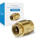Valvola Di Ritegno In Ottone DN20 Con Filettatura Femmina | 3/4 BSP, 232 PSI | Previene Il Riflusso Dell'Acqua | Freccia Indicatrice Di Direzione