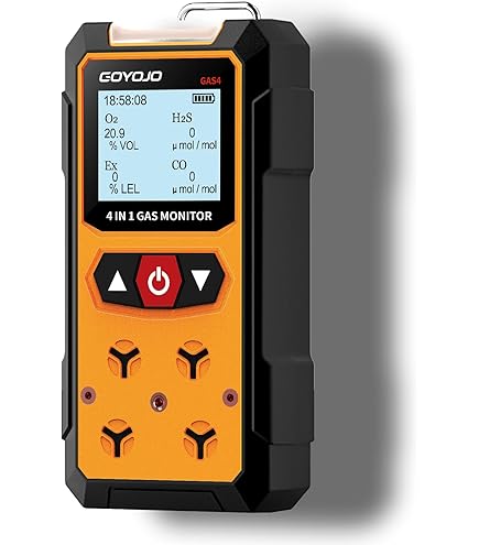 Honeywell BW CLIP H2S | Détecteur H2S Portable Honeywell BW CLIP H2S | Détecteur H2S Portable