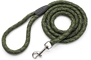 Accod Pet Nylon Lead Leash Pet Rope Pet Training Rope Leash for Medium and Large Dogs with Stainless Steel Buckle 1.5M Long and 1.2CM Width (Green)