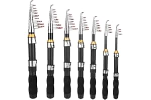 ‎COCOARM Cocoarm Angelrute Teleskoprute Kleine Seerute Tragbare Kurze Stange Eisangelrute Teleskop Angelrute für Salzwasser Süßwasser