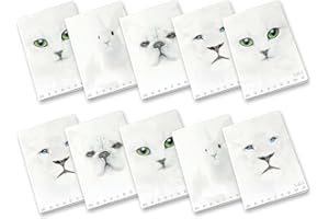 Pigna, Maxi Quaderno Monocromo White, A4, carta interna 100 g/m², pagine 72, Copertina in Cartoncino con trattamenti lucido/opachi, interno 0C, righe con margine, Soggetti Assortiti, 10 Pezzi