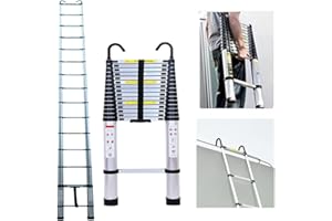 RIGOGO Scala telescopica in alluminio, 4,4 m, allungabile, in alluminio, con 2 ganci, multiuso, scala a pioli, facile da usare, portata 150 kg, colore argento