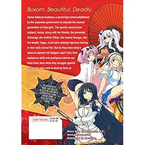 Senran Kagura Skirting Shadows 1