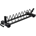 RIP X Portable Horizontal Bumper Plate Trolley Rack with Barbell and Fractional Weight Storage