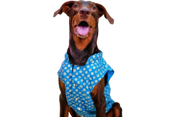 Payton Perry Cotton Dog Ethnic Wear Sherwani Kurta Dress Dog Outfits Perfect for Weddings, Birthday and Special Events (Blue, 28 INCH (4XL))
