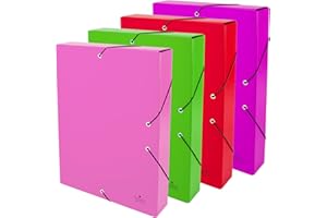 CARPETA DE PROYECTO QUIJOTE PAPER WORLD - CARPETA para archivo, colores flúor, medidas 34x23.5x5cm, gomas elástica, para A4, uso escolar y oficina - PACK 4