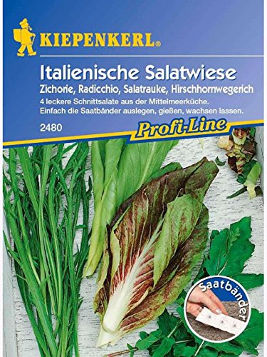 Salat Italienische Salatwiese Saatband