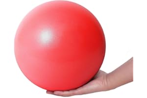 Fresion 25cm Soft Pilates Ball - 9 Inch Exercise Ball, Mini Barre Ball, Gym Ball - Perfect for Yoga, Pilates, Core Training, Physical Therapy