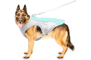 OCSOSO Dog Cooling Jacket Cool vest Coat for Small, Medium Large Dogs, Lightweight & Comfortable Dogs Cooling Vest Fit Harness, Cool Pet Vest Coats for Train Run Climb Walk (XXL Blue)
