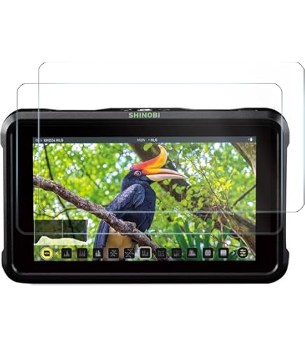 Atomos Shinobi 5" II - Foto Erhardt