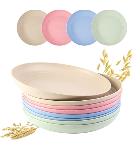Shirene Plastic borden, 4 stuks, herbruikbaar, 19 cm, onbreekbare
