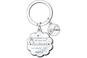 Lumengqi Porte-clés Collègue,Porte-clés Femme,Porte-clés d'amitié,Cadeau de Retraite,Cadeau pour Collègue,Cadeau de Remerciement,Cadeau de Collègue,Cadeau d'appréciation,Cadeau pour Femme