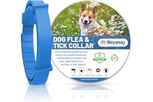 Woyamay Collare Antiparassitario per Cani, Collare Antipulci Cane Regolabile Resistente All'acqua, Naturale 8 Mesi di Protezione Collare Antizecche per Cani per Tutti i Tipi di Cani, Blu