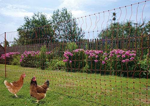 Kerbl Gefluegelnetz 50mtr., 112cm Doppelspitze Art. 292204 - 4