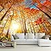 Produktbild Mddjj - Hintergrundbild 400X280cm - Vlies Premium Tapete - Wandbild - Wanddekoration - Kunstdruck - Poster Bild Foto - HD Druck - Modern dekorativ - Natur 196297482-9621