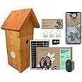 Green Feathers Battery Powered Solar Bird Box Camera With Wi-Fi Connection, Outdoors Wildlife Camera for Bird Boxes - Complete Kit