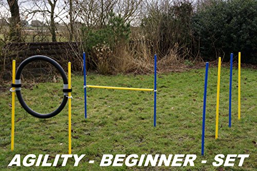 AGILITY-BEGINNER-SET-COLOR-BLUE-YELLOW-BLACK-AGILITY-STARTING-KIT