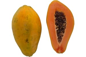 SAMENCHILISHOP (IMMER NUR EINMAL VERSAND) Papaya (Melonenbaum) Süße Früchte 15 frische Samenkörner