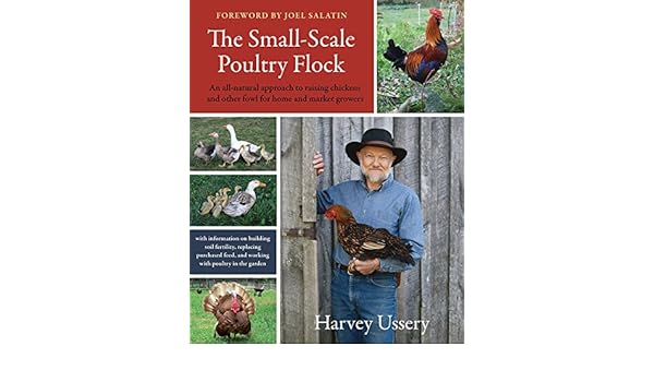 Buy The Small Scale Poultry Flock An All Natural Approach To