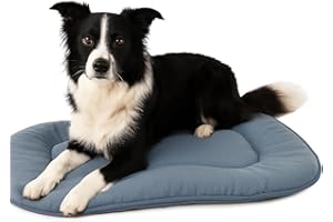 Flamingo Coussin pour Chien Firenze Fin Ovale Bleu - 71x51x3cm - Idéal pour Cocker Spaniel, Beagle, Shetland Sheepdog, Shiba Inu & Whippet