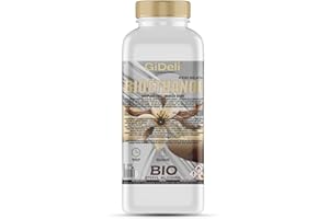 GiDeli bioetanolo 1l profumo di vaniglia 96,6% etanolo per camini interni ed esterni, fumo e fuliggine – da mais e barbabietola da zucchero