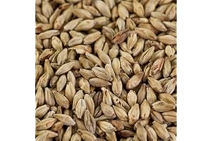 WEYERMANN 1 kg Münchner Malz 2 für dunkles Bier EBC 20-25