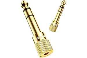 UGREEN Adattatore Audio Jack 3,5 Femmina a 6,3 Maschio a Minijack Connettore HiFi per Pianoforte Elettrico Tastiera Amplificatore Chitarra Cuffie Mixer (2 Pack)