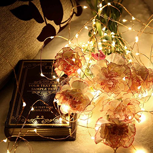 EnGive Lichterkette Warmweiß Kupferdraht Weihnachtsdeko 100er LED 10M Lichterketten Garten Weihnachtsbeleuchtung - 3