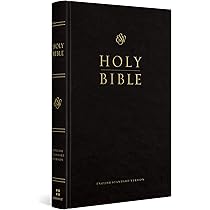 洋書 The HOLY BIBLE English standard version 61gPEiyt0iL._AC_UL210_SR210,