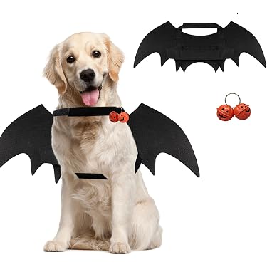 Produktbild von Lght Up Enhorn Hundekostüm Für Halloween
