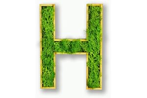 ‎MOOSLY Moosly® Moosbild - H - mit Rahmen aus Holz, Moos Deko Buchstaben Zeichen Symbol Zahl Holzbuchstabe mit echtem Islandmoos Wandtattoo Wandsticker Wandbild selbstklebend Wohnzimmer (109 H)