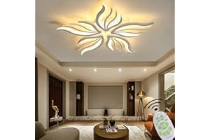 LANEKD Lampadario Camera da Letto LED Plafoniera Dimmerabile Soggiorno Bambini Cameretta Soffitto Lampada Moderno Paralume in Acrilico Design Con Telecomando Lampadari Per Cucina Bagno Hotel Ufficio Lampade