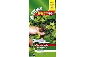 SUTTONS SEEDS Suttons Lettuce Seeds - Mixed Varieties Average Packet Content 1500 Seeds. Easy to Grow Lettuce