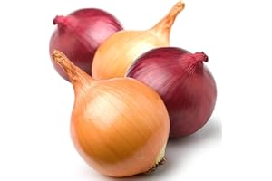 Welldales 50 Sweet Onion Seeds UK Red & Brown Large Seed Mix for Planting