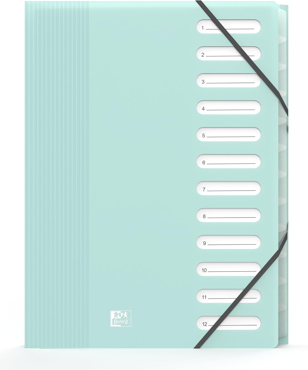 Vue 10