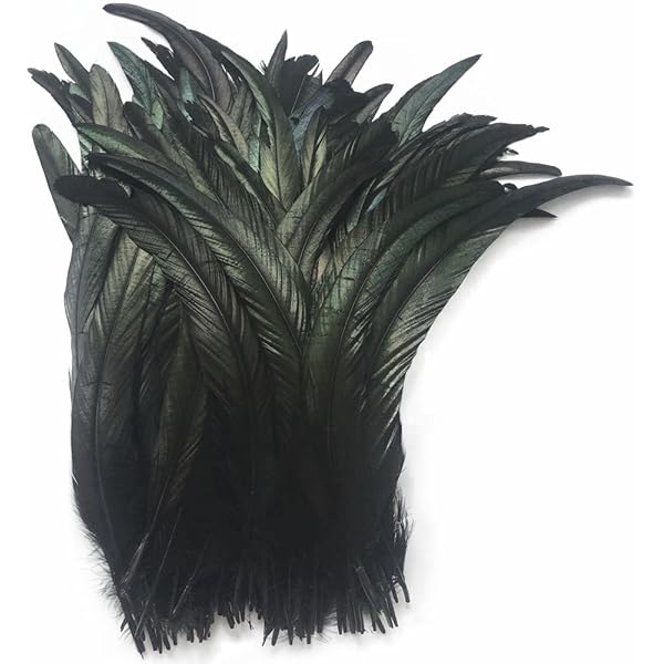 MWOOT 400 stuks zwarte ambachtelijke veren, ganzenveren voor doe-het-zelf dromenvangers, Halloween-kostuum, handgemaakte oorbel, bruiloft, feest, decoratie, huis, Pasen, natuurlijke veer, 7-15 cm
