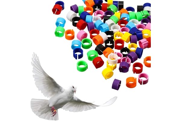 OQKAHIV Lot de 100 bagues d'identification pour oiseaux de 8mm, adaptées aux pattes des calopsittes et des pigeons, Accessoire ludique pour décorer les bandes de jambe des oiseaux, couleur aléatoire