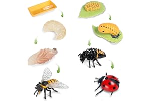 SIENON 8pcs Insect Life Cycle Figurines of Honey Bee and Ladybug-Plastic Insect Animal Growth Cycle Kit Montessori Toy Insect Figures Toy Learning Tools School Project for Kids 3 4 5 6 7 8 Years Old
