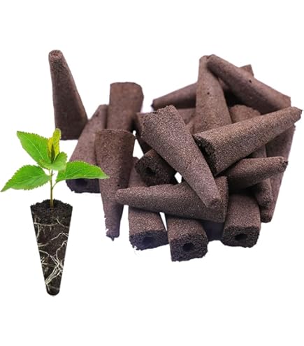 Kit Idroponica GOEDCH Con Spugne E Nutrienti - Per Coltivazione Indoor Di Erbe, Verdure E Fiori - Foto 9