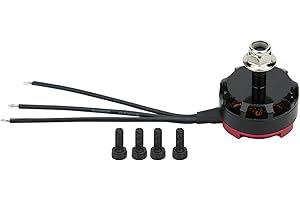 BIKING Motore senza spazzole, RS2205 2300KV 2205 CW/CCW Parte motore senza spazzole per quadricottero da corsa FPV(CW)