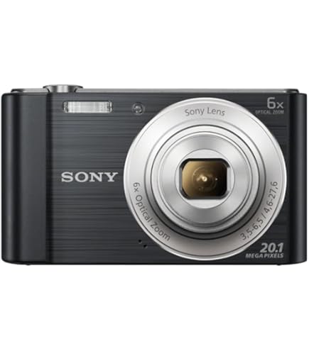 デジタルカメラ SONY Cyber-shot DSC-W810 Sony Cyber-Shot DSC-W810 Digital Camera metallic silver: Amazon.co