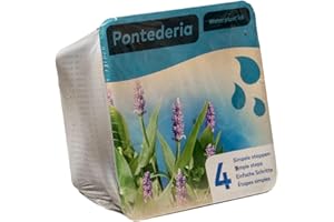 MOERINGS Complete Waterplants Pond Plant Kit - Pontederia