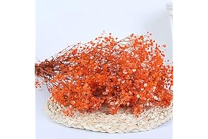 YIWOYI Ramo de flores secas naturales Gypsophila Paniculata preservadas para decoración del hogar y fiestas de boda (naranja, 30-40 cm, 30 g)