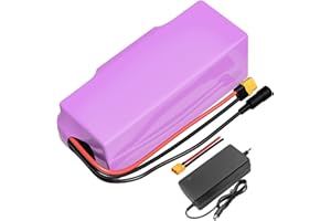 SEILYLANKA Avec chargeur 14 Ah 7S4P 24 V Batterie E-Bike Vélo électrique Li-ion Personnalisable 130 x 90 x 70 mm