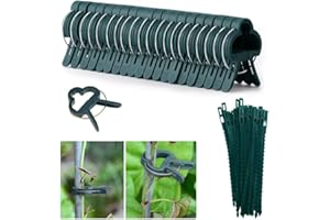 Kakveiai 60PCS Pflanzenclips Set, Pflanzenklammern, Rankpflanzen Bindeset, Für Tomaten, Rosen, Gurken Stabile Klammern Für Kletterpflanzen Befestigung (30large Clips 30Ties) (60 Pcs)