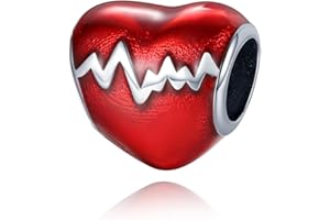 Jokmeo Ciondolo charm in argento 925 puro, compatibile con bracciali e collari della marca Pandora e di stile europeo. Adatto a donne e ragazze.T2